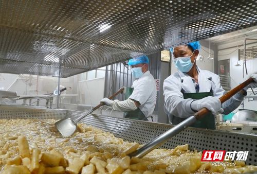 湖南新田 醋水豆腐 带动 新田大豆 产业