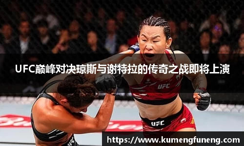 球王会体育