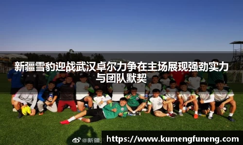球王会体育